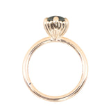 2.32ct Oval Unheated Silky Teal Montana Sapphire Scallop Cup Solitaire in 14k Yellow Gold