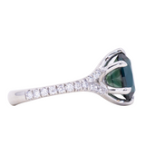 Split Shank Six Prong Solitaire with Pavé Set Diamonds - Low Profile Setting