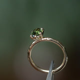 1.60ct Green Australian Oval Sapphire Six Prong Evergreen Solitaire in 14k Yellow Gold