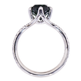 Split Shank Six Prong Solitaire with Pavé Set Diamonds - Low Profile Setting