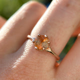 1.30ct Unheated Bicolor Montana Sapphire Low Profile Six Prong Split Shank Solitaire in 14k Rose Gold