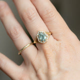 Split Shank Low Profile Halo with Pavé Set Diamonds - Setting