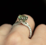 Knife Edge Diamond Studded Split Shank - Setting