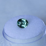 1.68CT OVAL MADAGASCAR SAPPHIRE, MOSS GREEN WITH TEAL, 7.55X6.48X4.13MM