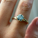 1.70ct Unheated Montana Sapphire Low Profile Six Prong Split Shank Solitaire in 18k Yellow Gold