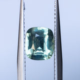 1.60CT CUSHION MADAGASCAR SAPPHIRE, LIGHT SAGE GREEN WITH YELLOW AND BLUE, 7.29X6.39X3.84MM