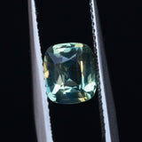 1.60CT CUSHION MADAGASCAR SAPPHIRE, LIGHT SAGE GREEN WITH YELLOW AND BLUE, 7.29X6.39X3.84MM