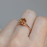 1.30ct Unheated Bicolor Montana Sapphire Low Profile Six Prong Split Shank Solitaire in 14k Rose Gold