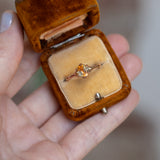 1.30ct Unheated Bicolor Montana Sapphire Low Profile Six Prong Split Shank Solitaire in 14k Rose Gold