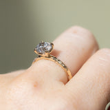 1.61ct Round Brilliant Salt & Pepper Diamond Evergreen 4 Prong Solitaire in 14k Yellow Gold