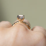 1.61ct Round Brilliant Salt & Pepper Diamond Evergreen 4 Prong Solitaire in 14k Yellow Gold