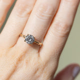 1.61ct Round Brilliant Salt & Pepper Diamond Evergreen 4 Prong Solitaire in 14k Yellow Gold