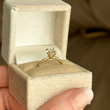 1.06ct GIA Crown Jubilee® GIA Diamond Evergreen Solitiare in 14k Yellow Gold