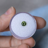 0.84CT PRECISION ROUND AUSTRALIAN SAPPHIRE, FOREST GREEN, 5.52X3.80MM