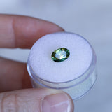 1.53CT OVAL AUSTRALIAN SAPPHIRE, PARTI GREEN BLUE YELLOW, 8.1X5.6X3.74MM