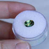 1.53CT OVAL AUSTRALIAN SAPPHIRE, PARTI GREEN BLUE YELLOW, 8.1X5.6X3.74MM