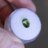 1.53CT OVAL AUSTRALIAN SAPPHIRE, PARTI GREEN BLUE YELLOW, 8.1X5.6X3.74MM