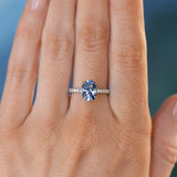 2.09ct Oval Madagascar Sapphire and French Set Diamond Solitaire in 14K White Gold