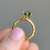 2.15ct Round Teal Nigerian Sapphire Scallop Cup Solitaire in 18k Yellow Gold