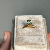 1.62ct Oval Parti Madagascar Untreated Sapphire Evergreen Carved Solitaire in 18k Yellow Gold