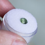 1.51CT ROUND AUSTRALIAN SAPPHIRE, SPARKLING JUNGLE PARTI GREEN, UNTREATED, 6.55X4.48MM