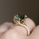 Knife Edge Diamond Studded Split Shank - Setting