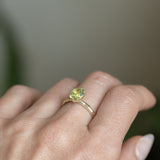 1.95ct Oval Yellow-Green Untreated Parti Nigerian Oval Sapphire Six Prong Evergreen Solitaire in 14k Green Gold