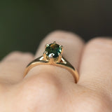 1.60ct Oval Australian Parti Sapphire Low Profile Six Prong Split Shank Solitaire in 14k Yellow Gold