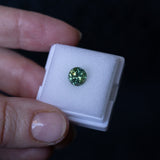 1.93CT ROUND PRECISION CUT AUSTRALIAN SAPPHIRE, GREEN WITH YELLOW AND BLUE, 7X5MM EARLY ACCESS