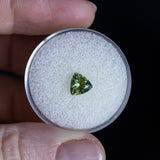 1.00CT TRILLION AUSTRALIAN SAPPHIRE, LIGHT GREEN WITH YELLOW, 6.23X3.80MM, UNTREATED EARLY ACCESS