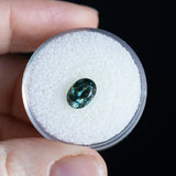 1.63CT OVAL SONGEAN SAPPHIRE, TEAL COLOR SHIFTING TO PURPLE, 8.03X5.90X4MM, UNTREATED EARLY ACCESS