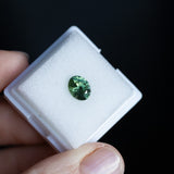 1.41CT AUSTRALIAN OVAL SAPPHIRE, PARTI GREEN YELLOW BLUE, 7.42X6.01X4.22MM EARLY ACCESS