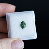 1.41CT AUSTRALIAN OVAL SAPPHIRE, PARTI GREEN YELLOW BLUE, 7.42X6.01X4.22MM EARLY ACCESS