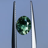 1.41CT AUSTRALIAN OVAL SAPPHIRE, PARTI GREEN YELLOW BLUE, 7.42X6.01X4.22MM EARLY ACCESS