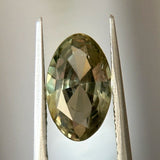 2.21CT MOVAL MONTANA SAPPHIRE, OLIVE GREEN AND GOLD, UNTREATED, 10.70X6.58X3.98MM