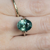 7.19CT OVAL MADAGASCAR SAPPHIRE, LIGHT-MEDIUM TEAL BLUE GREEN, 12.10X9.73X7.55MM - APPRAISED STONE