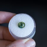 3.03CT OVAL MADAGASCAR SAPPHIRE, PARTI TEAL GREEN YELLOW, 8.09X7.33X6.30MM, UNTREATED