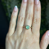 1.55ct Round Madagascar Light Green Sapphire Low Profile Scallop Cup Solitaire in 14k Yellow Gold