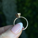 1.55ct Round Madagascar Light Green Sapphire Low Profile Scallop Cup Solitaire in 14k Yellow Gold