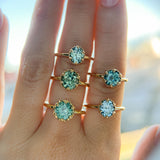 1.34ct Round Teal Montana Sapphire Scallop Cup Solitaire in 14k Yellow Gold