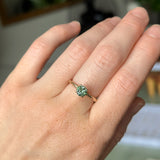 0.83ct Untreated Teal Montana Sapphire Evergreen Carved 4 Prong Solitaire in 14k Yellow Gold