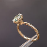 2.32ct Oval Unheated Silky Teal Montana Sapphire Scallop Cup Solitaire in 14k Yellow Gold