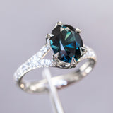 Split Shank Six Prong Solitaire with Pavé Set Diamonds - Low Profile Setting