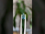 1.12CT PEAR MADAGASCAR SAPPHIRE, TEAL BLUE, 8.06X5.95MM