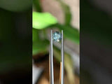 1.27CT ROUND MADAGASCAR SAPPHIRE, SMOKEY GREEN GREY, 6.07X4.20X3.42MM