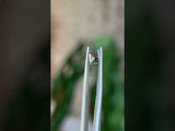 0.74CT LOZENGE KITE MONTANA SAPPHIRE, LIGHT DENIM BLUE GREY, 8.11X6.21X2.97MM, UNTREATED