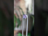 1.77ct Round Lilac Sapphire Lotus Solitaire in 14k Yellow Gold