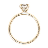 1.24ct Round Salt and Pepper Diamond Classic 4 Prong Solitaire in 14k Yellow Gold