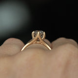 1.47ct Salt and Pepper Diamond Six Prong Split Shank Satin Finished Ring In 14k Yellow Gold