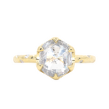 2.63ct Rosecut Salt and Pepper Diamond and Scattered, Embedded Diamond Evergreen Low Profile Antique Style Ring in 18k Yellow Gold